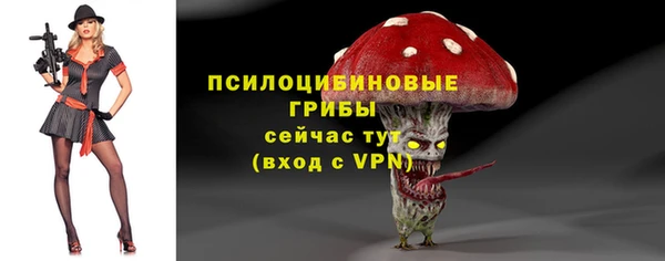шишки Протвино