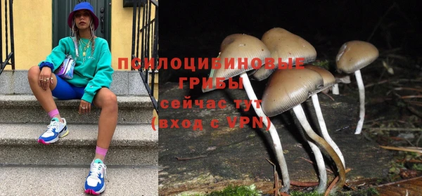 наркотики Приозерск